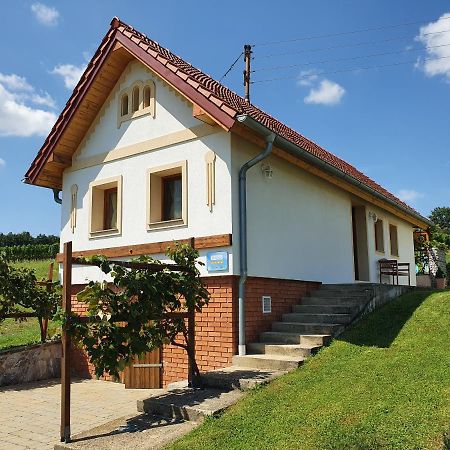 Willa Kellerstoeckl Weinberg Eisenberg an der Pinka Zewnętrze zdjęcie